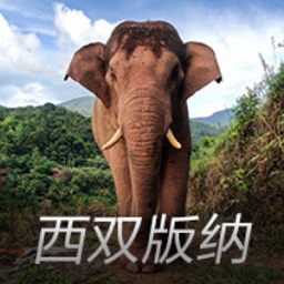 尹同跃：智界的智驾就是第一 不存在梯队的说法
